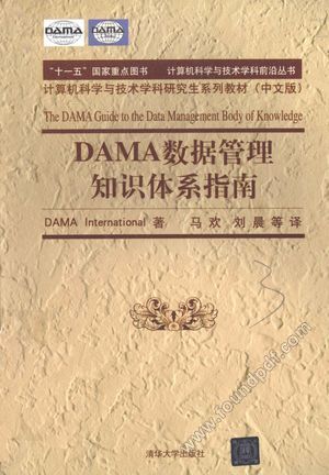 DAMA  数据管理知识体系指南__DAMAInternational著_2012.07_P264_13056116.pdf