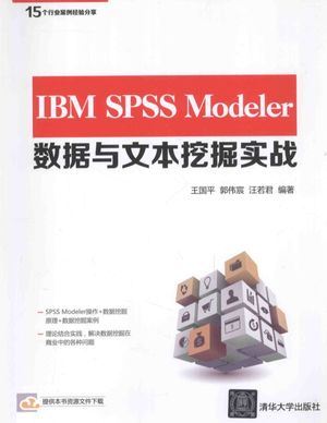 IBM SPSS Modeler数据与文本挖掘实战_王国平,郭伟宸,汪若君编著_2014.11_295_13642156.pdf