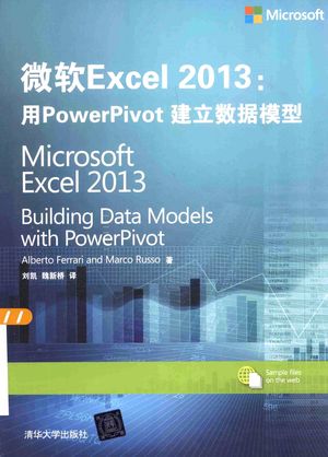微软Excel 2013  用PowerPivot建立数据模型_（意）法拉利，（意）鲁索著__2015.01_370_13688092.pdf