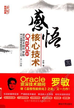 感悟Oracle核心技术_罗敏_2015.01_486_13674205.pdf