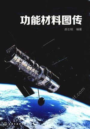 功能材料图传_郝士明_2017.01_340_14110384.pdf