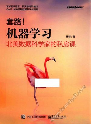 套路 机器学习 北美数据科学家的私房课_林_2017.10_316_14334877