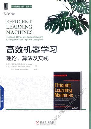 高效机器学习 理论、算法及实践__PDF电子书下载 高清 带索引书 _(黎)玛丽特阿瓦德,(美)拉胡尔肯纳著;李川,林旺群,郭际香,李征译__2017.1_238_14343279
