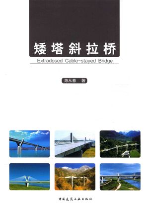 矮塔斜拉桥_陈从春著__2016.09_227_14072976.pdf