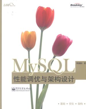 MySQL性能调优与架构设计__简朝阳编著_P398_2009.06_pdf电子书下载带书签目录_12248731