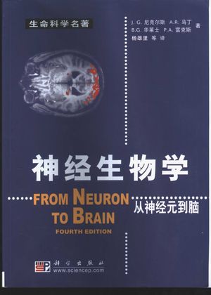 神经生物学  从神经元到脑_（英）J.G.尼克尔斯（Nicholls，J.G.）等著；杨雄里等_2003.04_840_pdf电子书下载_11105873