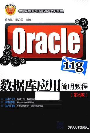 Oracle 11g数据库应用简明教程 第2版_董志鹏_2018.06_363_PDF电子书下载带书签目录_14489063
