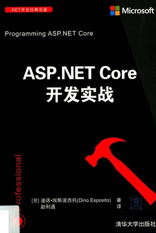 ASP.NET Core开发实战_迪诺·埃斯波西托（Dino Esposito）_2019.07_375_14645917