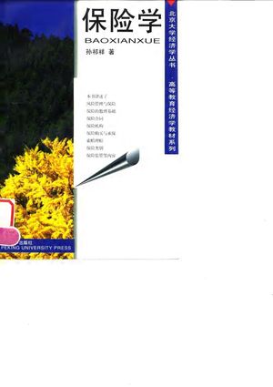 保险学_孙祁祥编著_1996.12_337_PDF带书签目录_10043932