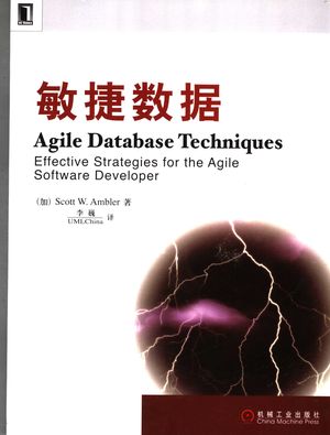 敏捷数据 effective strategies for the agile software developer_(加)Scott W. Ambler著;李巍_ 2006.01_292_PDF带书签目录_11508238